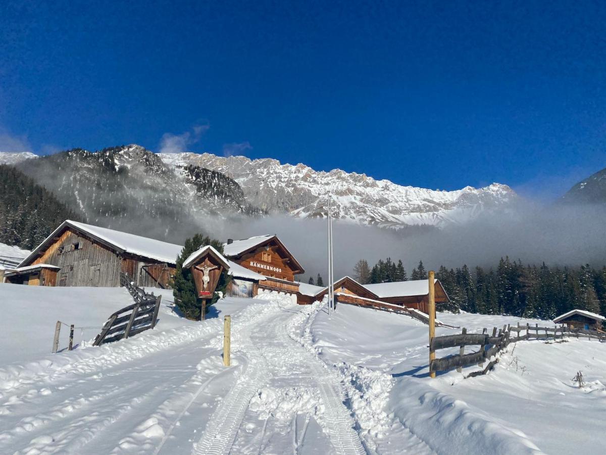 Haemmermoosalm Otel Leutasch Dış mekan fotoğraf